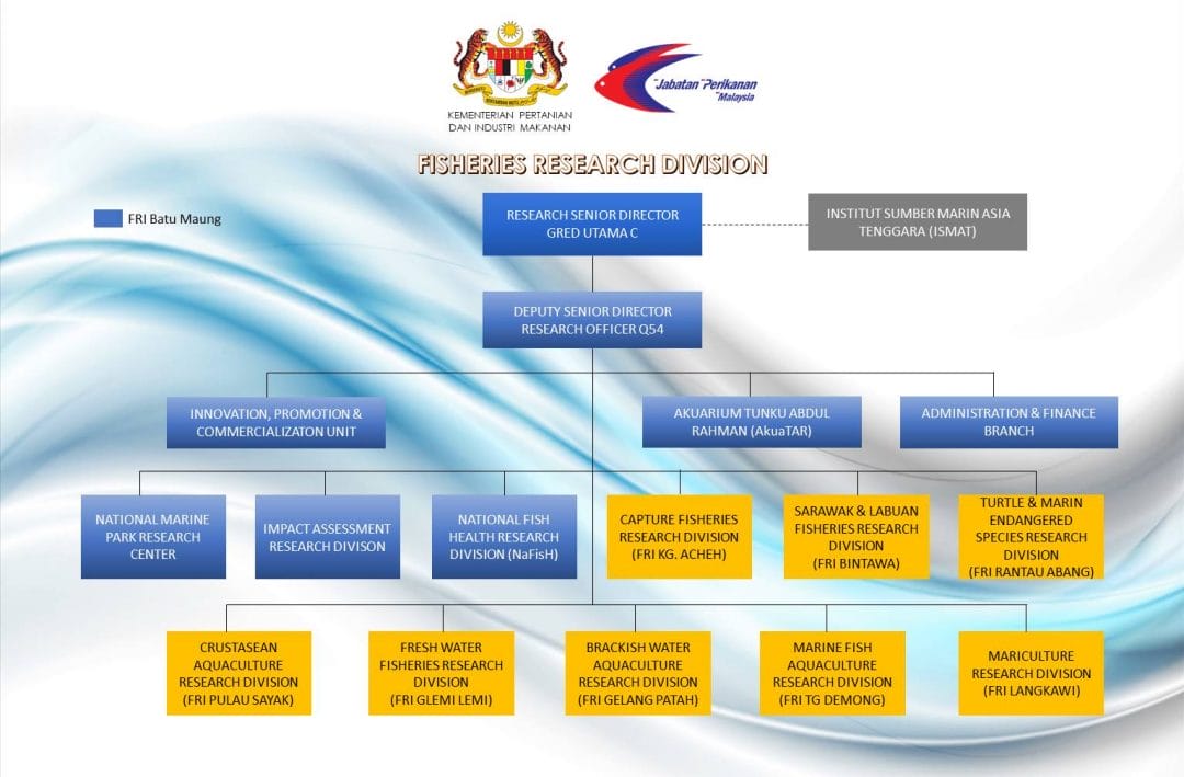 FRI Organisation Chart