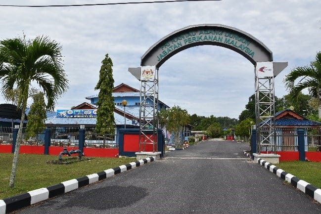 Penyelidikan Penyu dan Spesis Marin Terancam - Portal Rasmi 