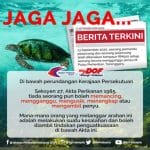 Selamatkan Penyu Kita!