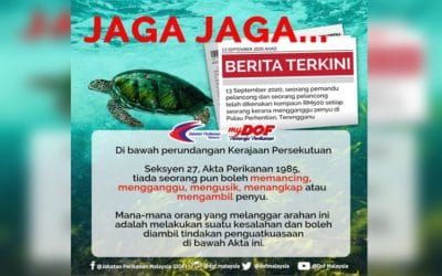 Selamatkan Penyu Kita!