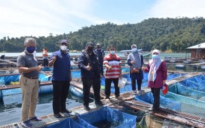 Lawatan Kerja Ketua Pengarah Perikanan Malaysia, Tuan Ahmad Tarmidzi bin Ramly AMK ke Ternakan Ikan Dalam Sangkar di Tasik Kenyir.