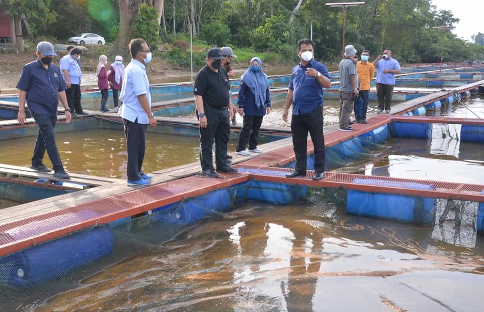 Lawatan Kerja Ketua Pengarah Perikanan Malaysia Tuan Ahmad Tarmidzi Bin Ramly Amk Ke Ternakan Ikan Tilapia Air Tawar Dalam Sangkar Tucg Enterprise Di Manir Kuala Terengganu Portal Rasmi Jabatan Perikanan Malaysia