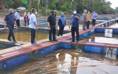 Lawatan Kerja Ketua Pengarah Perikanan Malaysia, Tuan Ahmad Tarmidzi bin Ramly AMK ke Ternakan Ikan Tilapia Air Tawar Dalam Sangkar TUCG Enterprise di Manir, Kuala Terengganu.