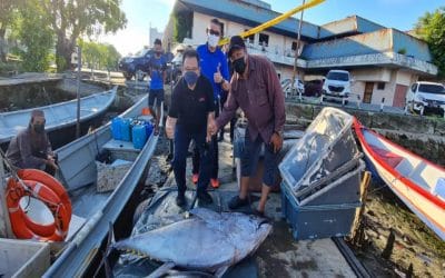 Lawatan Ketua Pengarah Perikanan Malaysia, YBrs. Tuan Ahmad Tadmidzi bin Ramly ke Jeti Pendaratan Tuna di W.P. Labuan pada pagi ini bagi melihat pendaratan ikan tuna yellowfin dan skipjack.