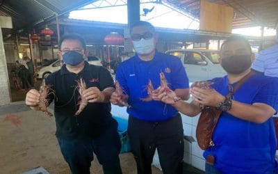 Lawatan Kerja Ketua Pengarah Perikanan Malaysia ke Jeti Pendaratan Tuna di W.P. Labuan  dan Pasar Sungai Keling bagi meninjau hasil laut yang telah didaratkan.