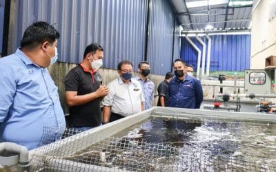 Lawatan Kerja Ketua Pengarah Perikanan Malaysia YBrs. Tuan Ahmad Tarmidzi bin Ramly ke RAS Pool Farm Trading di Malim Jaya, Melaka.