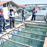 Lawatan Kerja Ketua Pengarah Perikanan Malaysia ke Pulau Tuba dan Penyerahan input bantuan Dana Jaminan Makanan(DJM) kepada myKP Tuba di Pulau Langkawi.