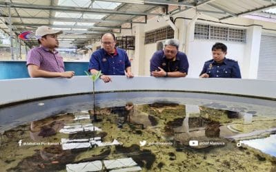Lawatan Ketua Pengarah Perikanan Malaysia, YBhg. Dato’ Adnan bin Hussain telah melawat ke Pusat Penyelidikan Langkawi bagi melihat fungsi dan tujuan ditubuhkan.