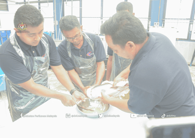 Jabatan Perikanan Malaysia (DOF) telah menjalankan proses pembenihan ikan patin di Pusat Pengembangan Akuakultur (PPA) Perlok, Jerantut, Pahang.