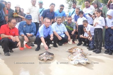 Jabatan Perikanan Malaysia telah menganjurkan program bersempena sambutan Hari Laut Sedunia  bertempat di Pantai Tanjung Biru, Port Dickson, Negeri Sembilan.