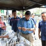 Ketua Pengarah Perikanan Malaysia, Dato’ Adnan bin Hussain telah membuat lawatan kerja ke projek pembuatan ikan bekok di myKP Kuala Besar, Kota Bharu Kelantan.