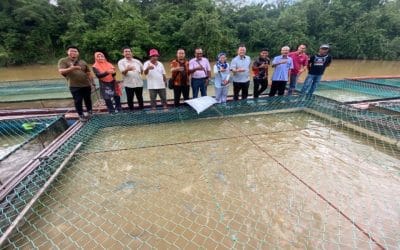 SEAFDEC/IFRDMD’s visit to the Freshwater Cage Fish Farming Project in Kampung Chengal, Temerloh, specializing in the breeding of Patin and Tilapia.