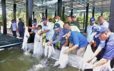 Strategic Collaboration between DOF and the Malaysian Prison Department in the Development of Catfish Farming