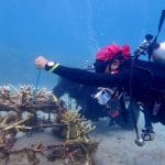 Program Restorasi Karang di Taman Laut Mersing: Mengekalkan Kelestarian Terumbu Karang