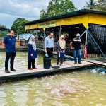 Working visit of the Director General of Fisheries to the Terengganu River Freshwater Cage Fish Farming Project.