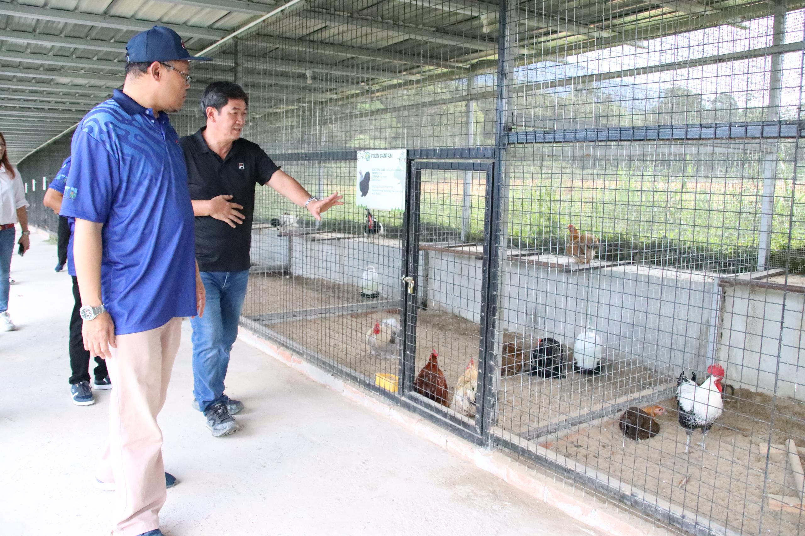 Lawatan Kerja Ketua Pengarah Perikanan Malaysia ke Borneo Empurau Farm & Resort