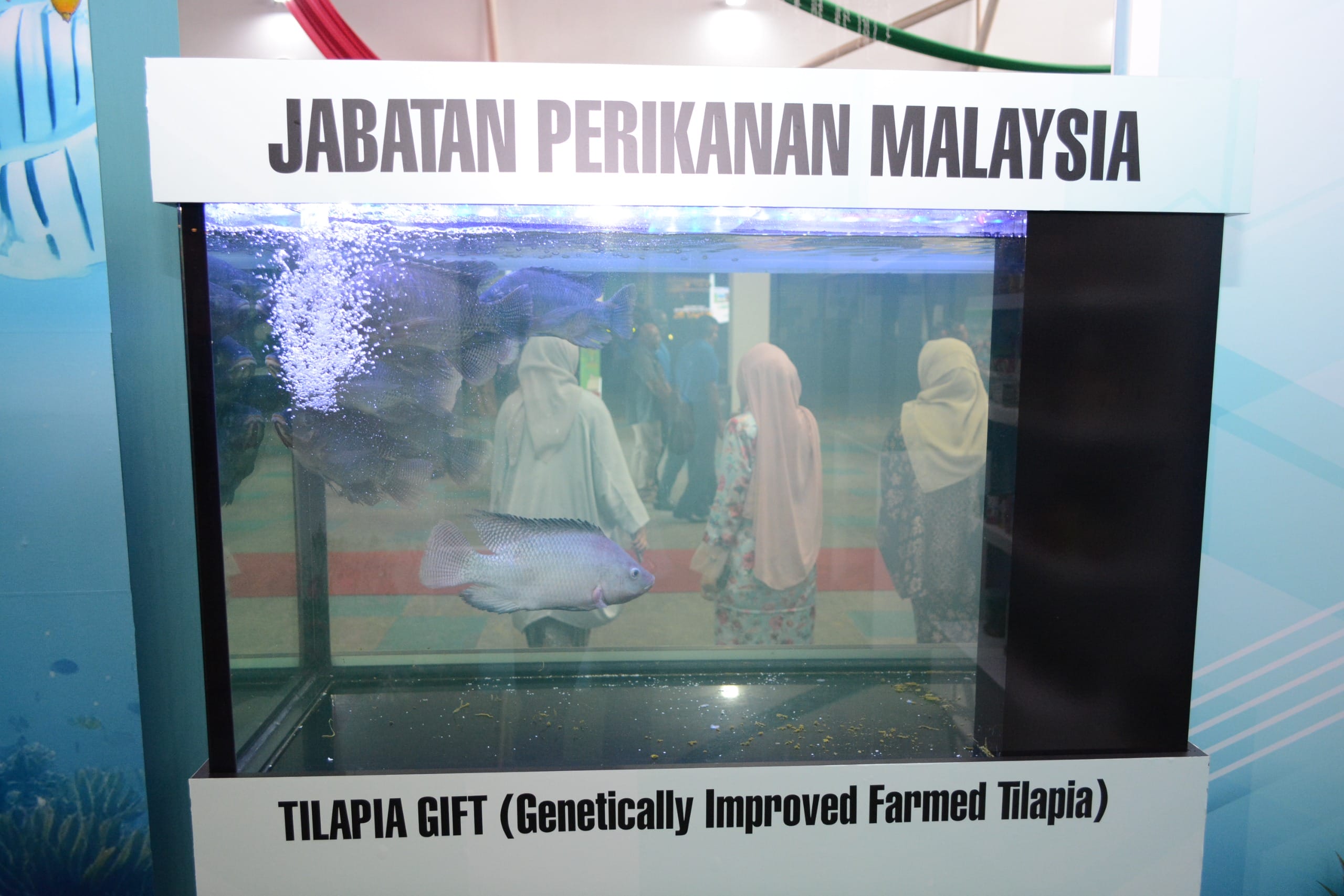MAJLIS PELUNCURAN LAPORAN INTERIM BANCI PERTANIAN 2024