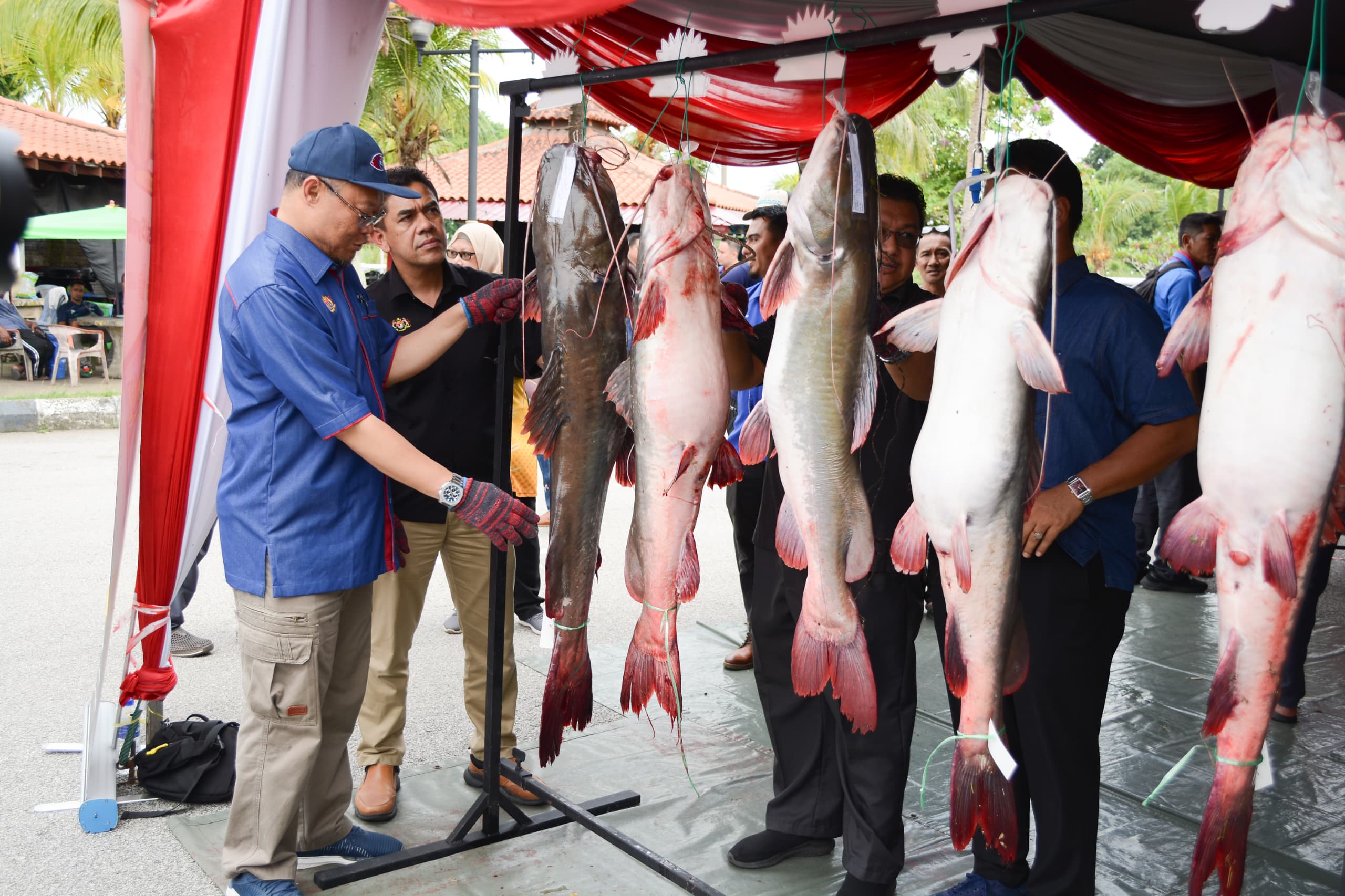 PROGRAM KESEDARAN SPESIES IKAN ASING DAN PERTANDINGAN MOH! TANGKAP BAUNG EKOR MERAH